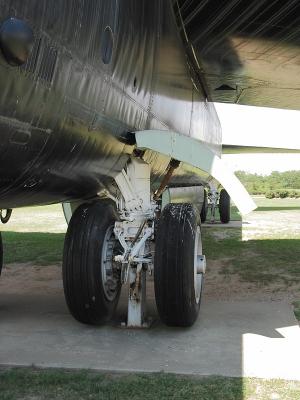CRW_6539C.jpg