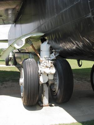 CRW_6540C.jpg
