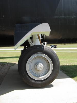CRW_6541C.jpg