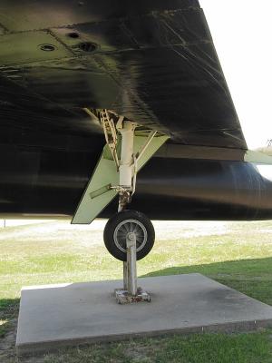 CRW_6542C.jpg