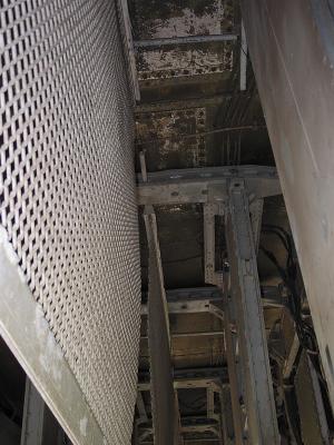 CRW_6545C.jpg