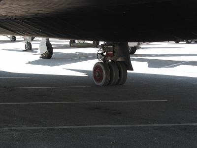CRW_6552C.jpg