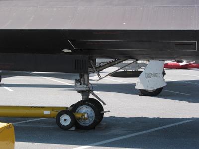 CRW_6557C.jpg