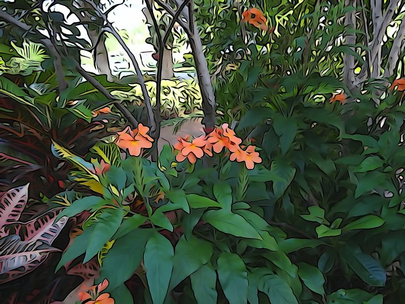 Flowers water color.jpg