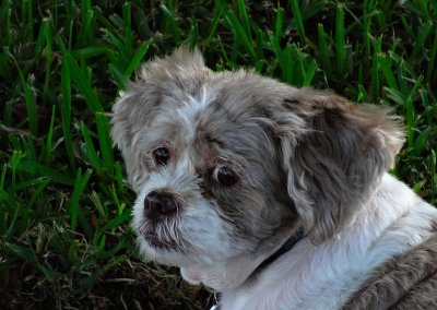 Abby782012.jpg