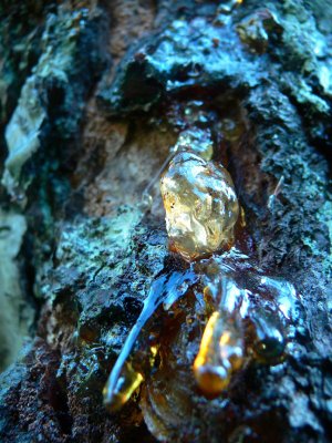 harpiksformer resin shapes 13.jpg