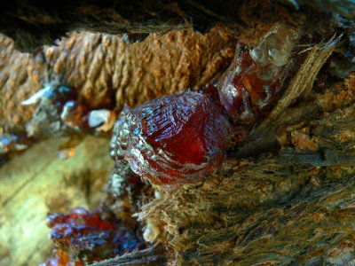 harpiksformer resin shapes 20.jpg