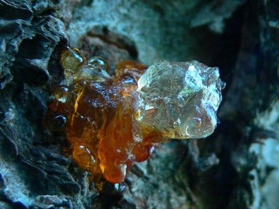 harpiksformer resin shapes 21.jpg