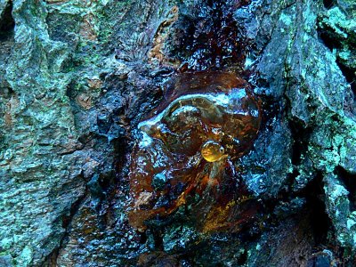 harpiksformer-resin-shapes 24.jpg