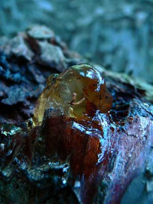 harpiksformer-resin-shapes 25.jpg