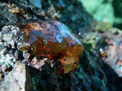 harpiksformer-resin-shapes 26.jpg