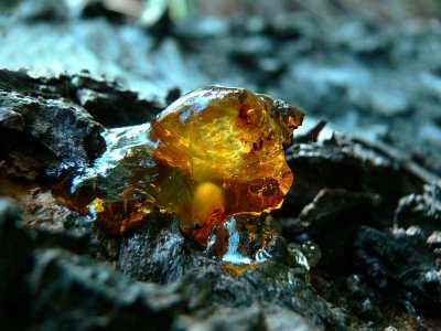 harpiksformer-resin-shapes 29.jpg