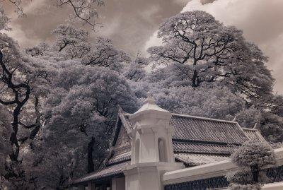 IR picture on Leica M8.2