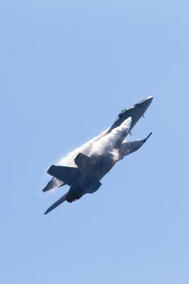 Wings Over Houston 2011