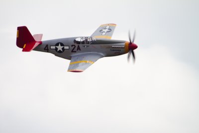 IMG_1416.jpg