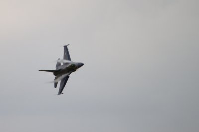 IMG_1505.jpg