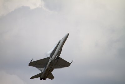 IMG_1590.jpg