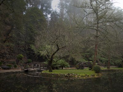 Nicholson Gardens - Dandenongs VIC
