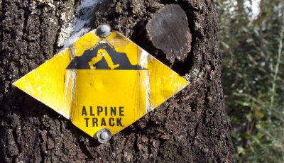 Alpine Track