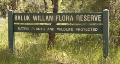 Baluk Willam Flora Reserve.jpg