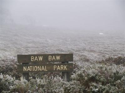 Baw Baw National Park
