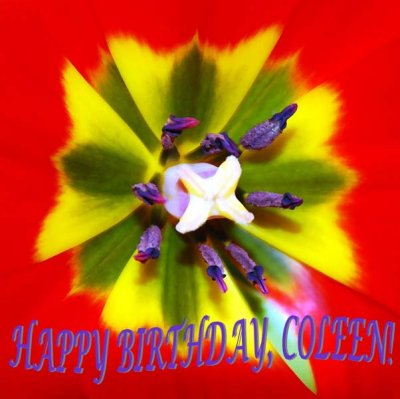 Happy Birthday, Coleen!