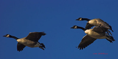 DSC_4338test-01xx10x5a.jpg