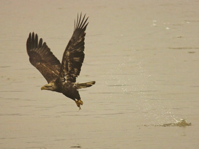 DSC_4699test-01q4x3a.jpg