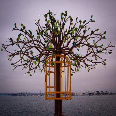 Urban Trees - Artwalk