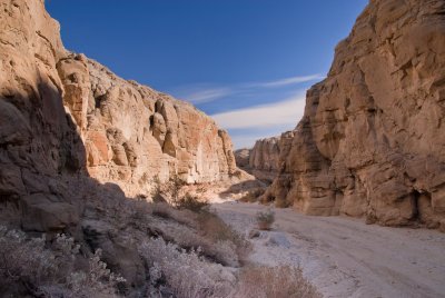Sandstone Canyon