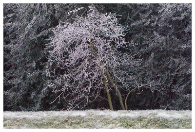 A Touch of Winter