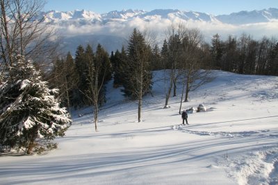 IMG_4059.JPG