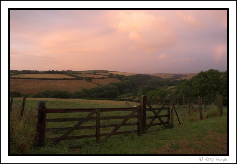 view from the gate
