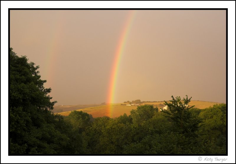 pot of gold?