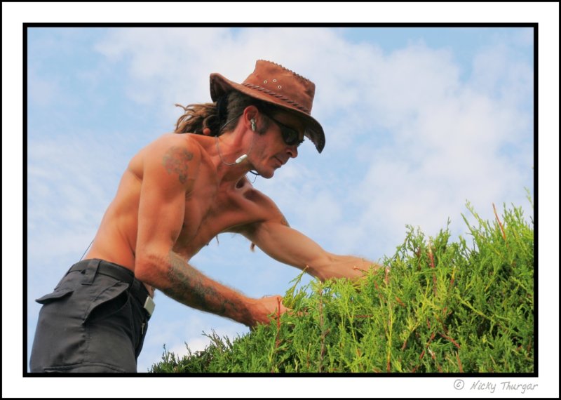 Hedge cutter