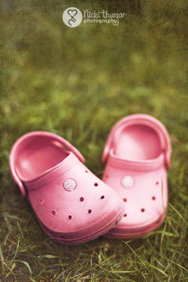 14 April - Baby Crocs