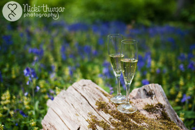 29 April - champagne & bluebells