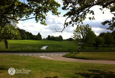 12 May - outside Blickling