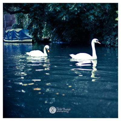 Regents Canal Stroll