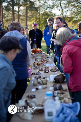 Fungi Foray at Santon Downham