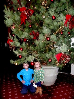 24 December - a BIG tree!