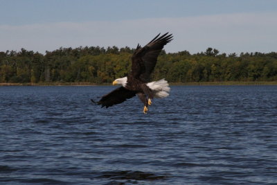 Lining up for the catch