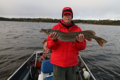 John's big Northern