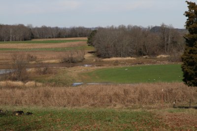 Hiwassee Wildlife Refuge fields where the Cranes are being seen