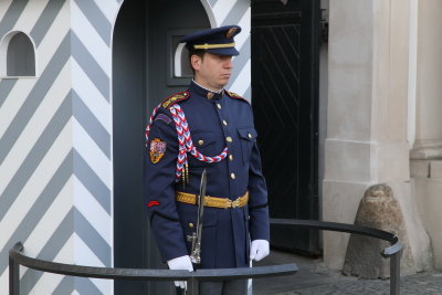 Prague castle guard
