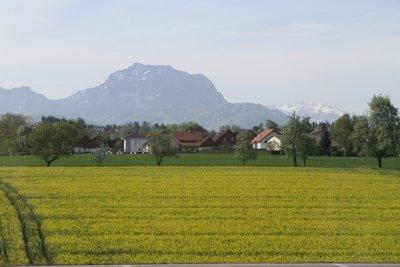 Canola field and the Alps from our bus on the way to Salzburg