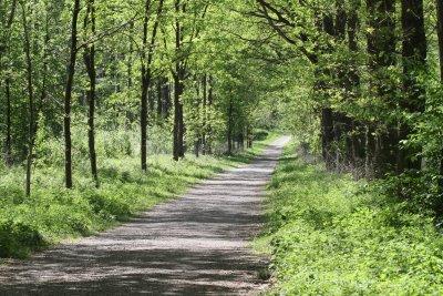 Birding trail near Melk dock