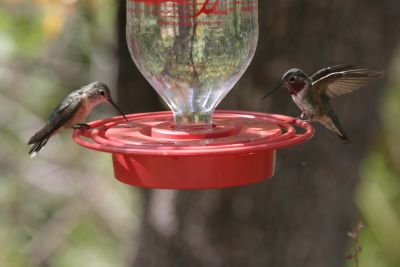 Female on left, male on right.