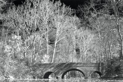 Sharon Woods BW