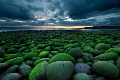 Mossy-rocks-O.jpg